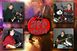 Image of Ace Tomato: Ron Stubbs, Kevin O'Reilly, Mark Dodge, Tim Potter