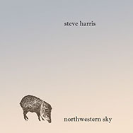 Image of the Steve Harris CD - Northwestern Sky